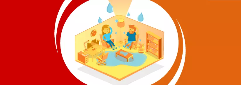 what to do in case of water damage in your French Home